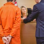felonies and misdemeanors
